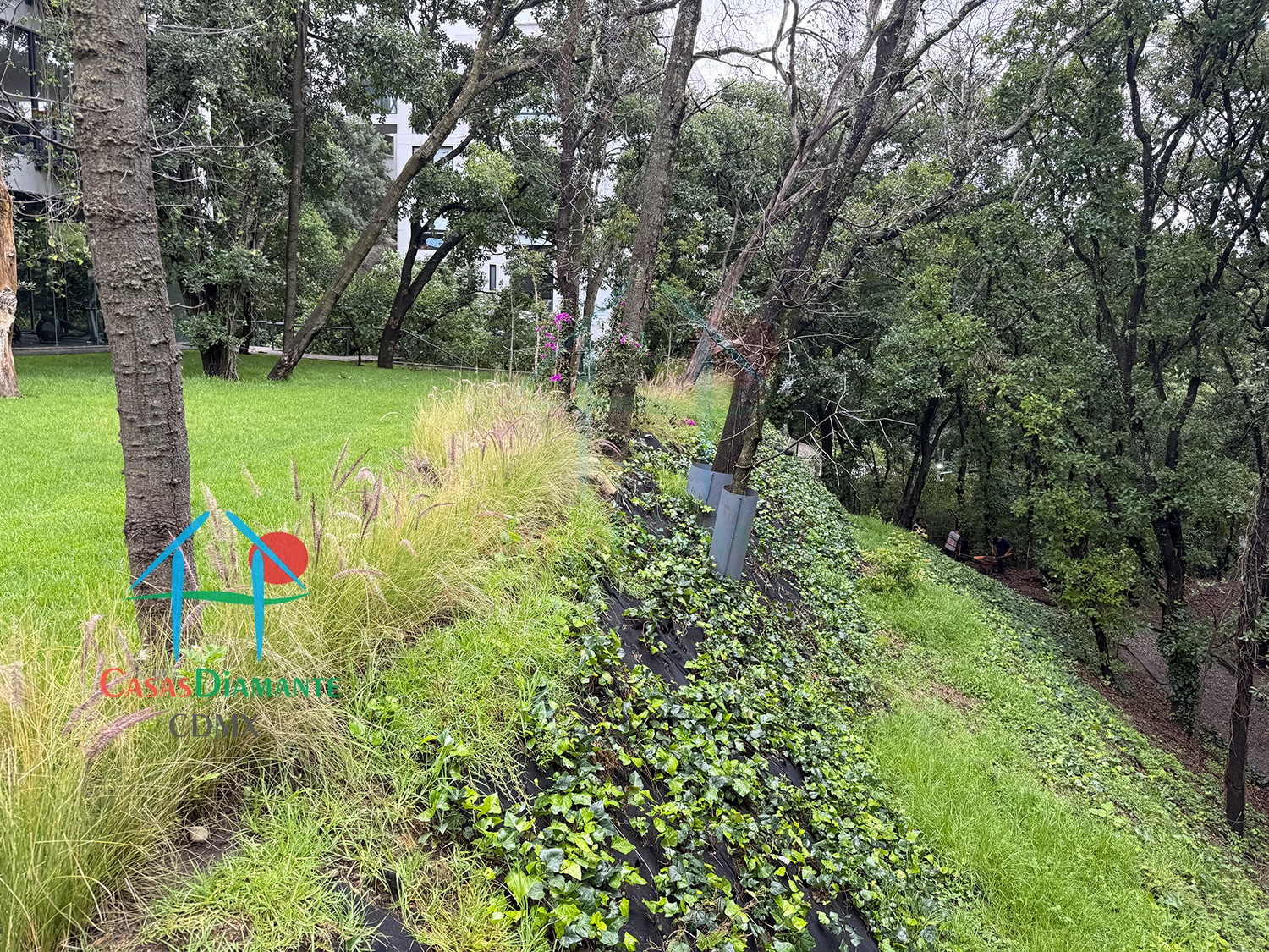 Acanto Ecos del Bosque - Jardines 5 Acanto Ecos del Bosque - Jardines 5